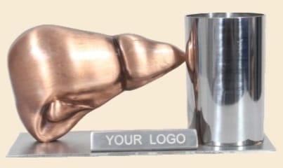 metal table top liver with steel glass